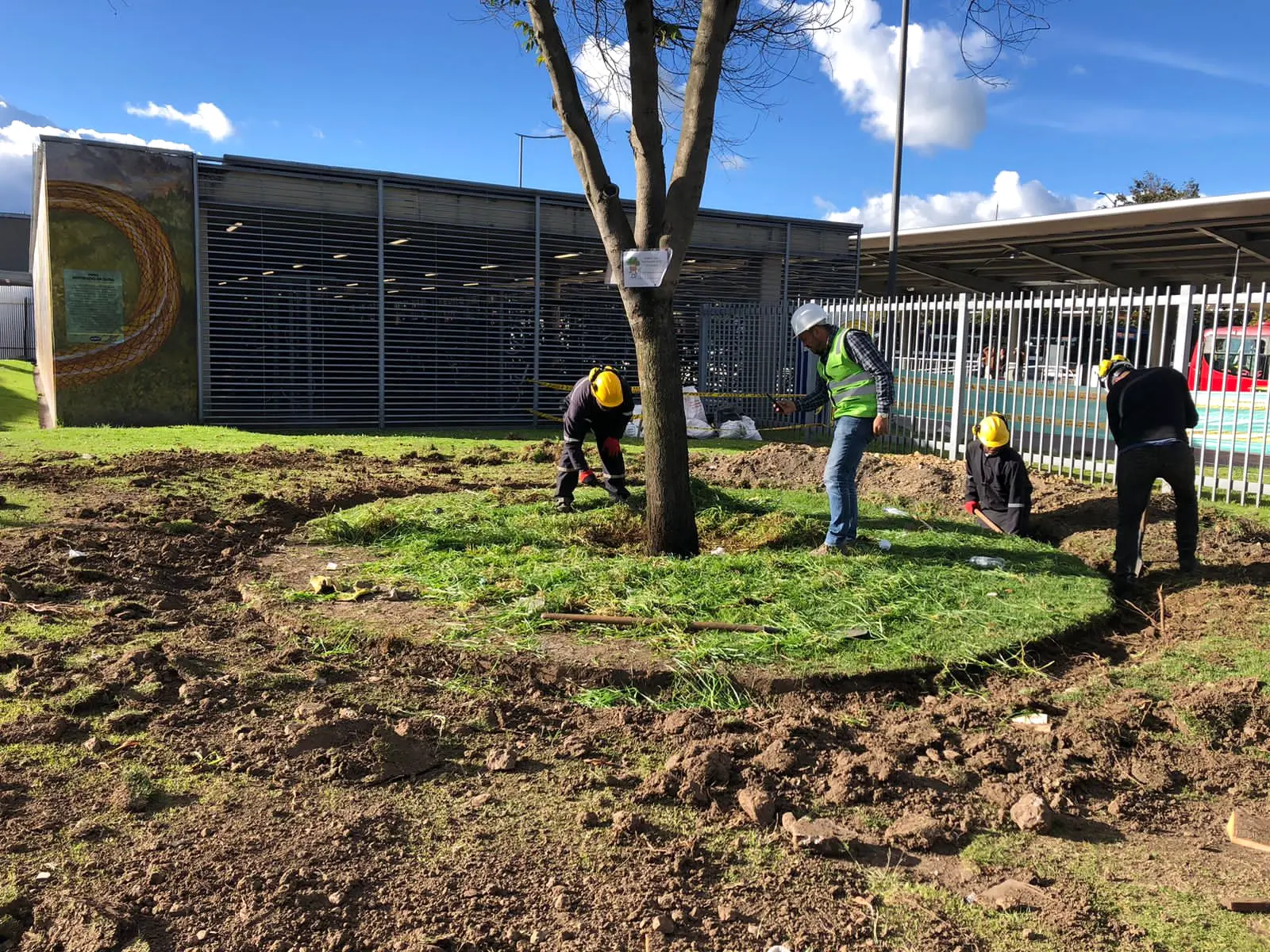 Equipo de Grupo Bioingenia preparando el bloqueo de un árbol en Bogotá