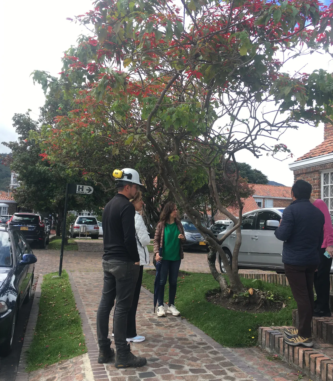 Equipo técnico inspeccionando el arbolado de un conjunto en Bogotá