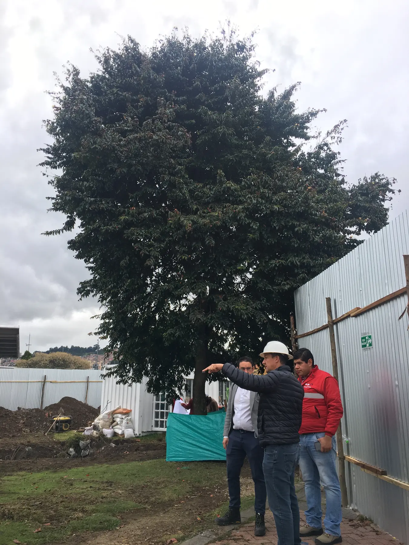 Equipo técnico realizando una inspección y diagnóstico forestal en campo